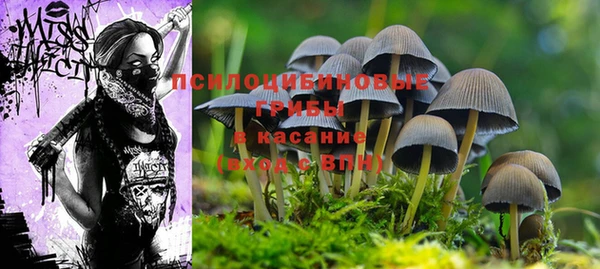 винт Абинск