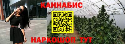 a pvp Можга