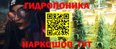 a pvp Можга