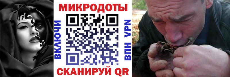 Галлюциногенные грибы Psilocybe  купить наркоту  Ржев 