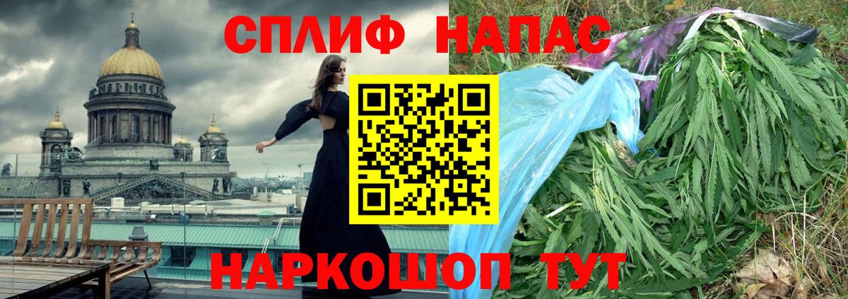 Бошки марихуана тримм  Вход с VPN  Бошки марихуана планчик  Канабис планчик  Каннабис сатива  Ржев 